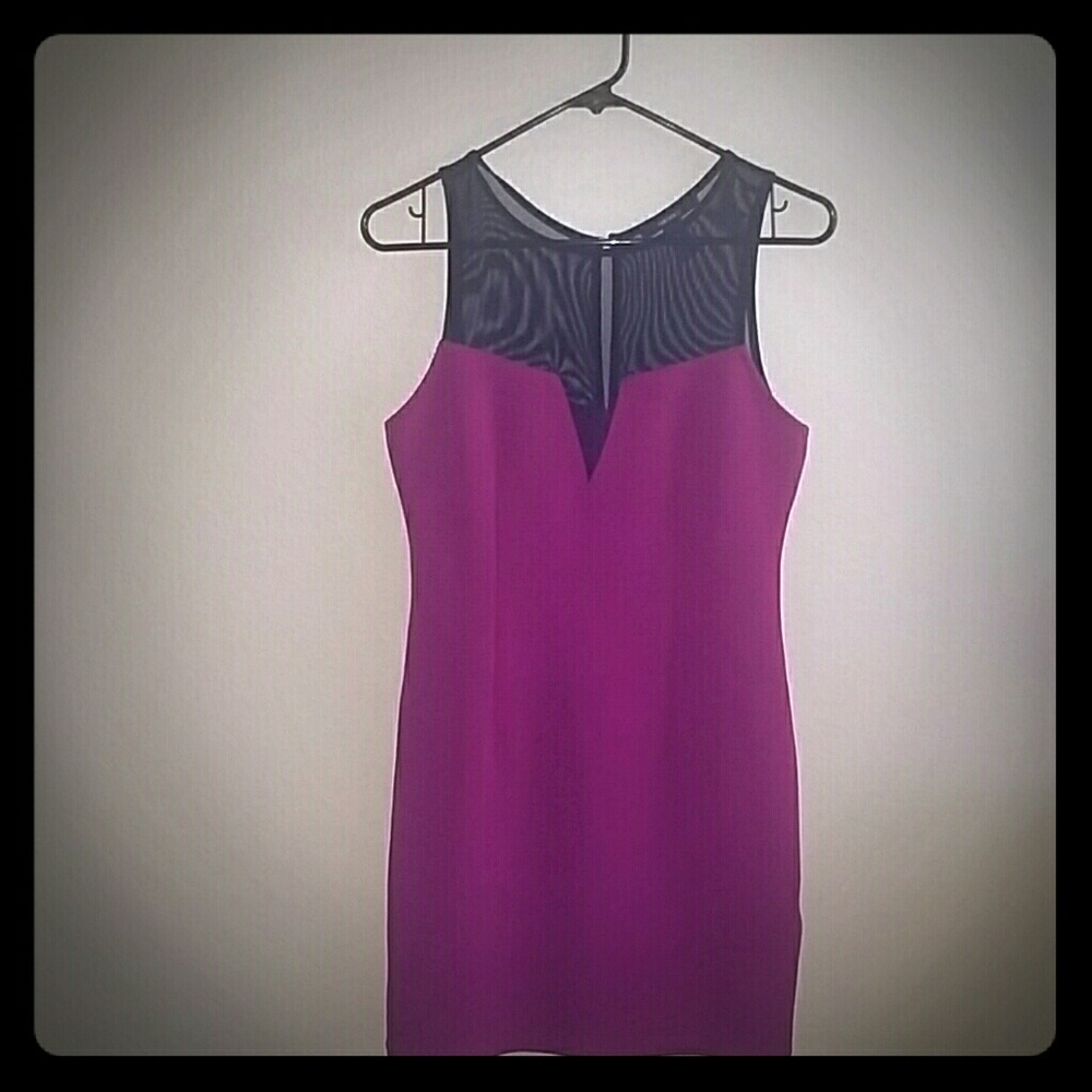 Bodycon top mesh dress